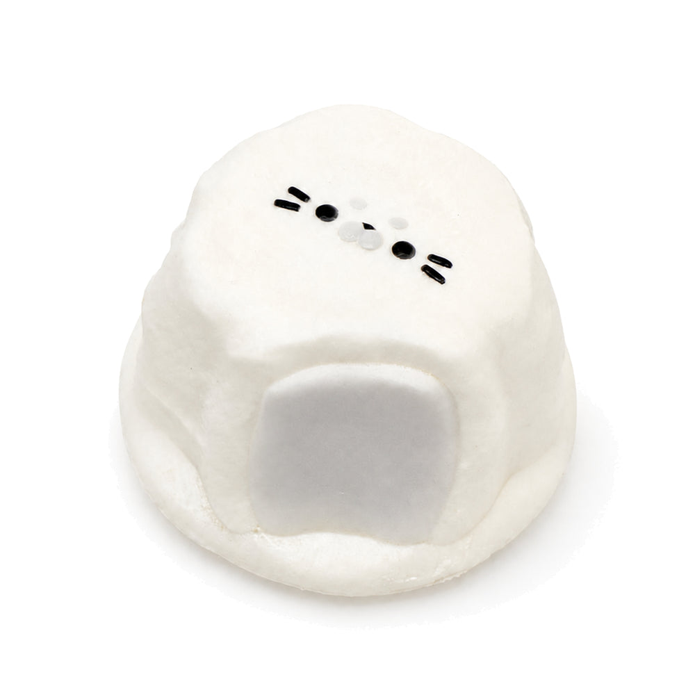 Dreamy Arctic Seal Slowrising Mochi Squishy